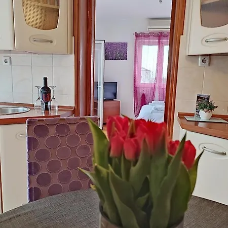 Dario アパート ザダル