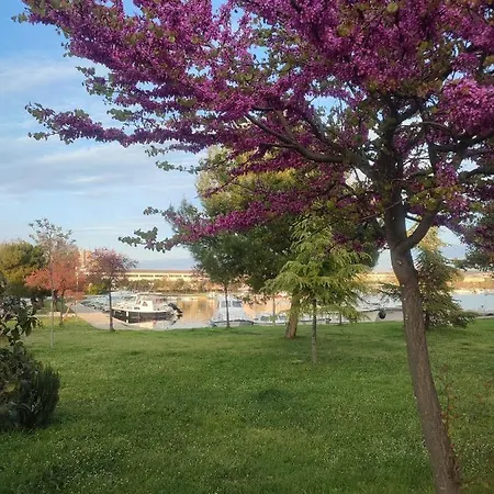 Apartman Dario